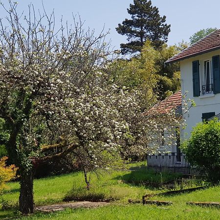 La Petite Sommiere Διαμέρισμα Μπεζανσόν Εξωτερικό φωτογραφία